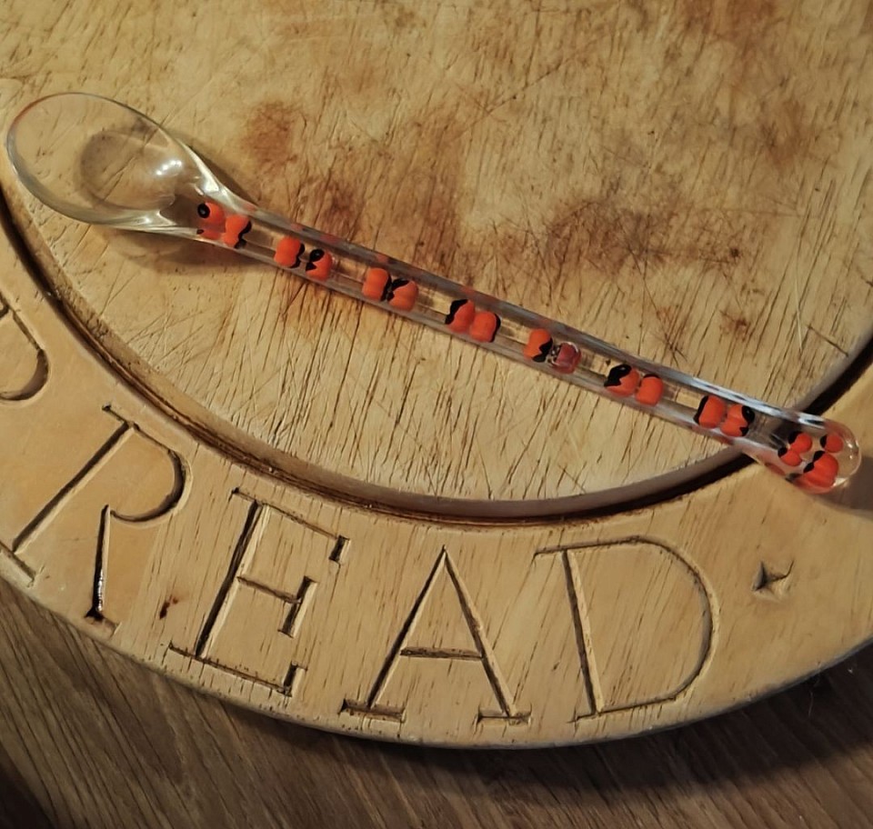 Jequirity Bean Bracelets